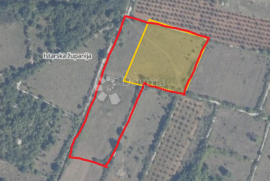 Vodnjan poljoprivredno zemljište 12 000 m², Vodnjan, أرض