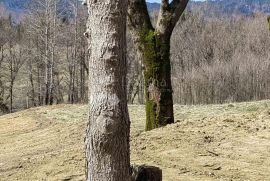 Zemljište s predivnom prirodom, potočićem i jezercem, Ogulin, Terrain