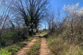 FILIPANA – lijep kompleks građevinskog i poljoprivrednog zemljišta, Marčana, Γη