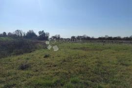 Zemljište pred urbanizaciju Vodnjan, Vodnjan, Terreno