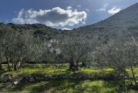 Pelješac, Građevinsko zemljište Trpanj, Trpanj, Terrain