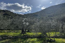 Pelješac, Građevinsko zemljište Trpanj, Trpanj, Terrain