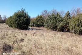 Poljoprivredno zemljište u blizini sela iznad same Limske drage, Kanfanar, Land