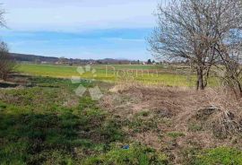 GRAĐEVINSKO I VELIKO POLJOPRIVREDNO ZEMLJIŠTE JALŽABET, Jalžabet, Terreno