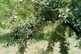 Tuhelj, građevinsko zemljište u blizini Termi Tuhelj, Tuhelj, Land