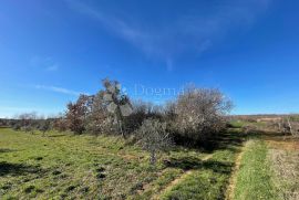 Građevinsko zemljište turističke namjene, Tar-Vabriga, Land