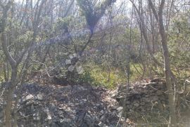 Šuma za sječu drva, Marčana, Land
