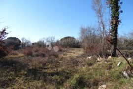 Višnjan - ravan teren blizu Poreča za gradnju vila, Višnjan, Zemljište