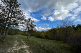 Jedinstveno zemljište s projektom na Boljunštini, Lupoglav, Land