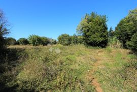 Umag, 1. red do mora, građevinsko zemljište turističke namjene, Umag, Terreno