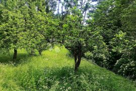 TEREN S UCRTANIM STAMBENIM I GOSPODARSKIM OBJEKTOM, Vrbovsko, Tierra