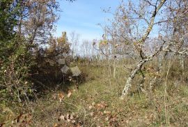 Istra, Završje - lijep, velik teren uz cestu, Grožnjan, Arazi