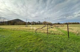 GRAĐEVINSKO ZEMLJIŠTE U OAZI PRIRODE A NADOMAK CENTRA GRADA 7624 M2, Gospić, Terreno