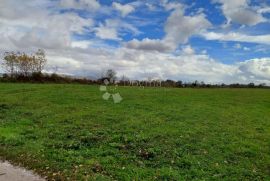 GRAĐEVINSKO ZEMLJIŠTE U OAZI PRIRODE A NADOMAK CENTRA GRADA 7624 M2, Gospić, Land