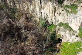 Zemljište za vikendice - Zmajevac, Kneževi Vinogradi, Terrain