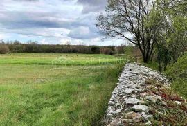 Građevinsko i poljoprivredno zemljište u Istri, Čabrunići, Svetvinčenat, Terrain