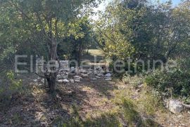 Vodnjan - lijepo poljoprivredno zemljište 3.550m2, ograđeno suhozidom!, Vodnjan, Terreno