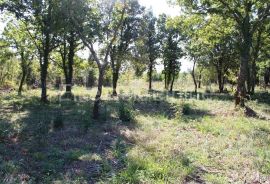 Prostrano građevinsko zemljište, 3000 m2, more na 5 min, Marčana, Γη