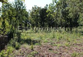 Prostrano građevinsko zemljište, 3000 m2, more na 5 min, Marčana, Земля