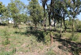 Prostrano građevinsko zemljište, 3000 m2, more na 5 min, Marčana, Terra