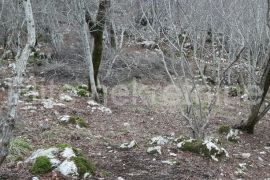 Malinska - prodaja poljoprivrednog zemljišta, 3136m2!, Dobrinj, Land