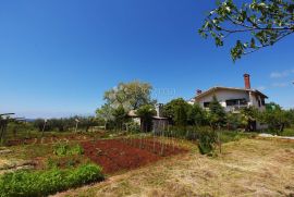 Stambeno-poslovna kuća sa 700 m okućnice, Poreč, Haus