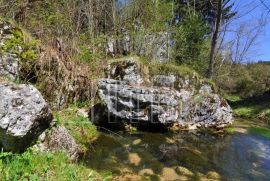 Zemljište 100000m2 Podlipnik Čevljanovići, Ilijaš, Tierra