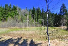 Zemljište 100000m2 Podlipnik Čevljanovići, Ilijaš, Tierra