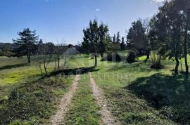 ISTRA, TINJAN - 10743 m2 građevinskog zemljišta s objektom!, Tinjan, Tierra