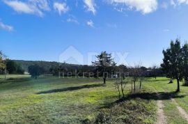 ISTRA, TINJAN - 10743 m2 građevinskog zemljišta s objektom!, Tinjan, Zemljište