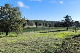 ISTRA, TINJAN - Kombinacija građevinskog i poljoprivednog terena!, Tinjan, Terrain