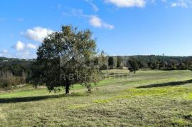 ISTRA, TINJAN - Kombinacija građevinskog i poljoprivednog terena!, Tinjan, أرض