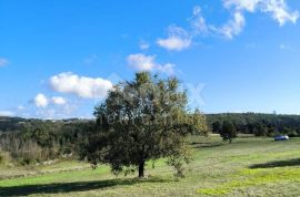 ISTRA, TINJAN - Kombinacija građevinskog i poljoprivednog terena!, Tinjan, Land