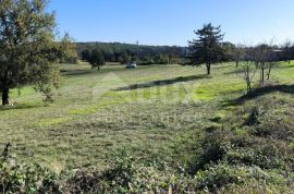 ISTRA, TINJAN - Kombinacija građevinskog i poljoprivednog terena!, Tinjan, Terrain