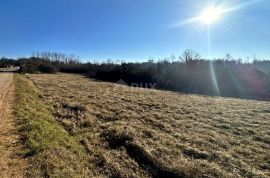 ISTRA, MOTOVUN - Prostrano kombinirano zemljište, Motovun, Land