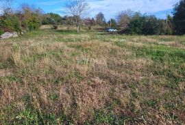 ISTRA, ŽMINJ - Prostrano građevinsko zemljište na mirnoj lokaciji, Žminj, Terreno