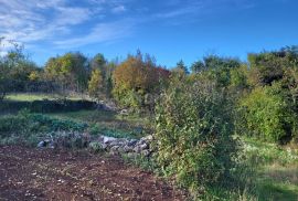 ISTRA, ŽMINJ - Prostrano građevinsko zemljište na mirnoj lokaciji, Žminj, Arazi