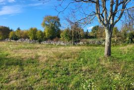 ISTRA, ŽMINJ - Prostrano građevinsko zemljište na mirnoj lokaciji, Žminj, Terrain