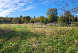 ISTRA, ŽMINJ - Prostrano građevinsko zemljište na mirnoj lokaciji, Žminj, Terra