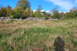 ISTRA, ŽMINJ - Prostrano građevinsko zemljište na mirnoj lokaciji, Žminj, Terrain