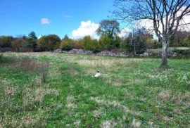 ISTRA, ŽMINJ - Prostrano građevinsko zemljište na mirnoj lokaciji, Žminj, Terrain