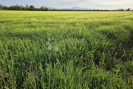 Zemljište u Grabanicama, Varaždin, Land