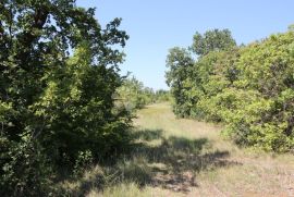 Građevinsko zemljište s pogledom na more, Maslenica, Jasenice, Terreno