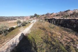 Poljoprivredno imanje sa kamenim objektom, Jasenice, Arazi