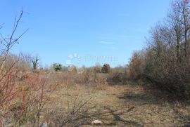 2 ha zemljišta sa započetom gradnjom, građevinskom dozvolom i plaćenim komunalijama, Svetvinčenat, Terrain