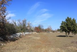 2 ha zemljišta sa započetom gradnjom, građevinskom dozvolom i plaćenim komunalijama, Svetvinčenat, Land