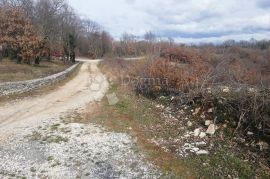 Građevinsko zemljište na mirnoj lokaciji, Svetvinčenat, Land