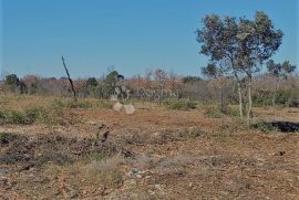 Zemljište između Barbarige i Peroja, Vodnjan, Arazi