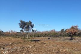 Zemljište kod Barbarige 2 km od mora, Vodnjan, Terrain