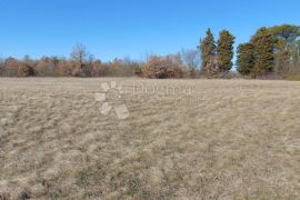 Prostrano zemljište u okolici Barbana, Barban, Land